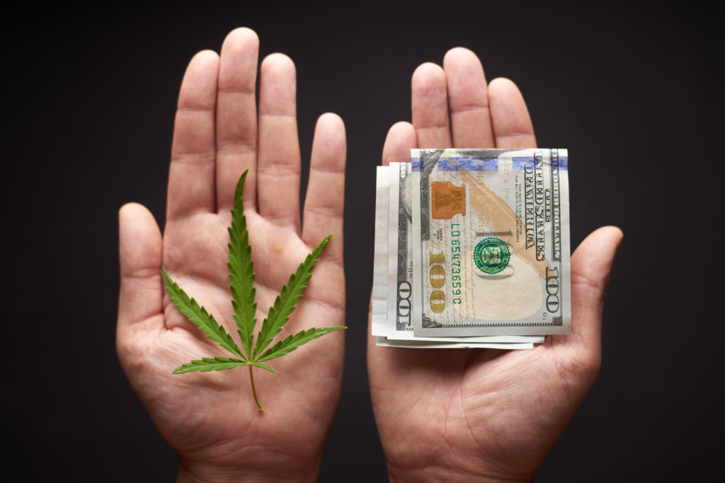 tax resolution attorney Two hands with cannabis and money. The concept of selling marijuana, hemp, drugs