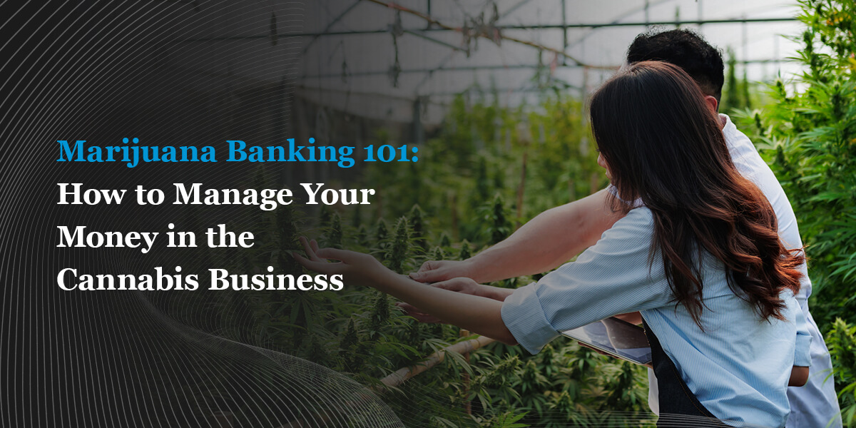 Marijuana Banking 101: How to Manage Your Money in the Cannabis Business