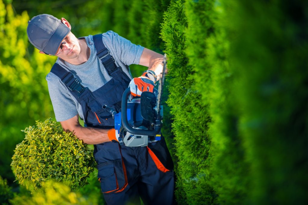 Small Business Corner: Landscapers & Gardeners