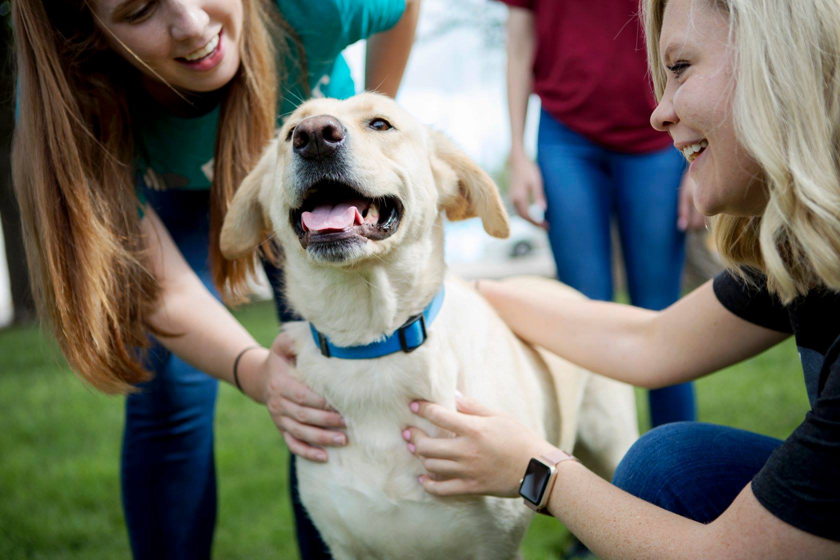 Oklahoma Humane Society