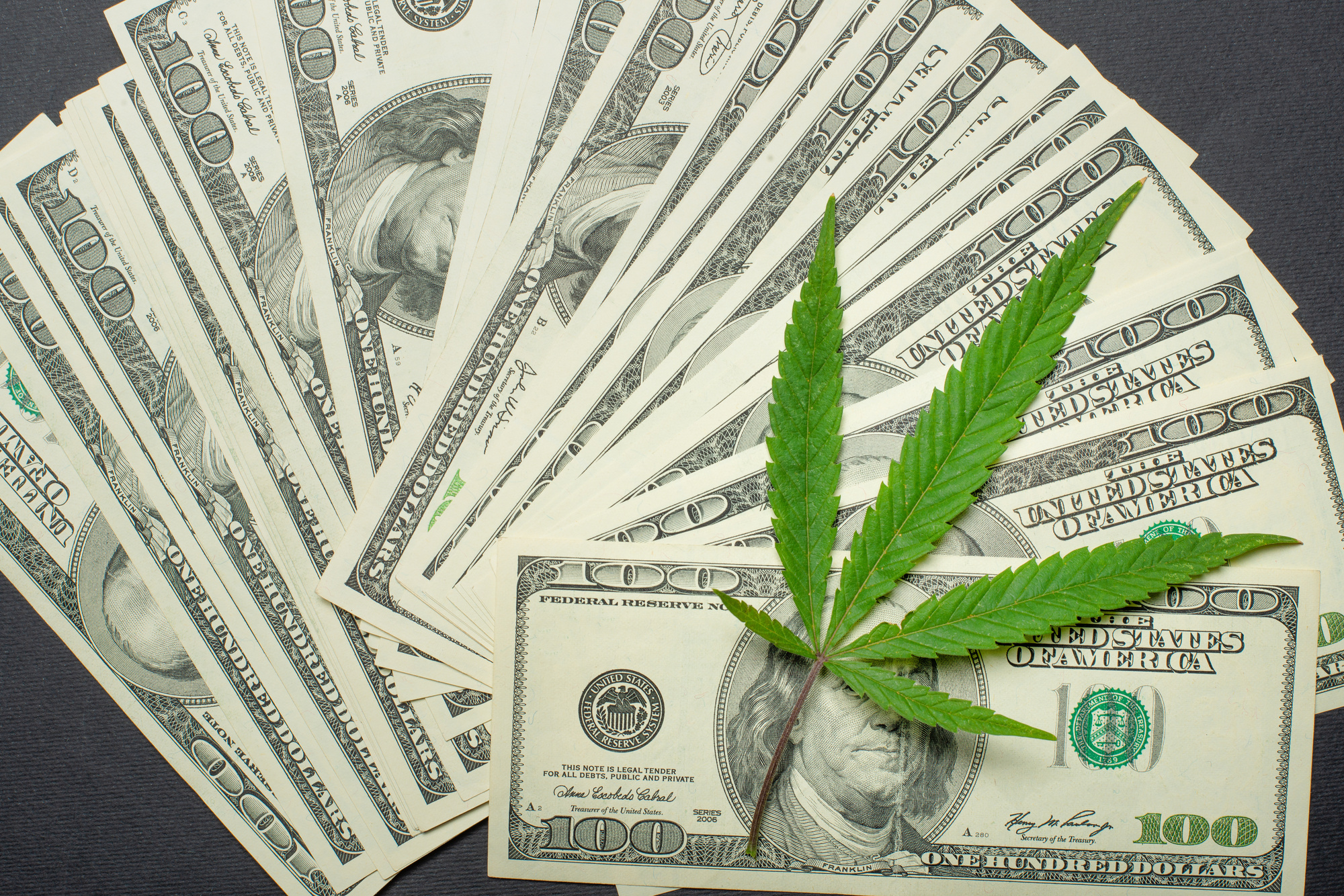 choose a cannabis bookkeeper