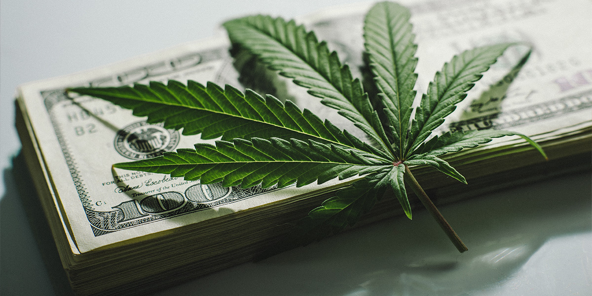 a cannabis leaf sits on a stack of 100 dollar bills
