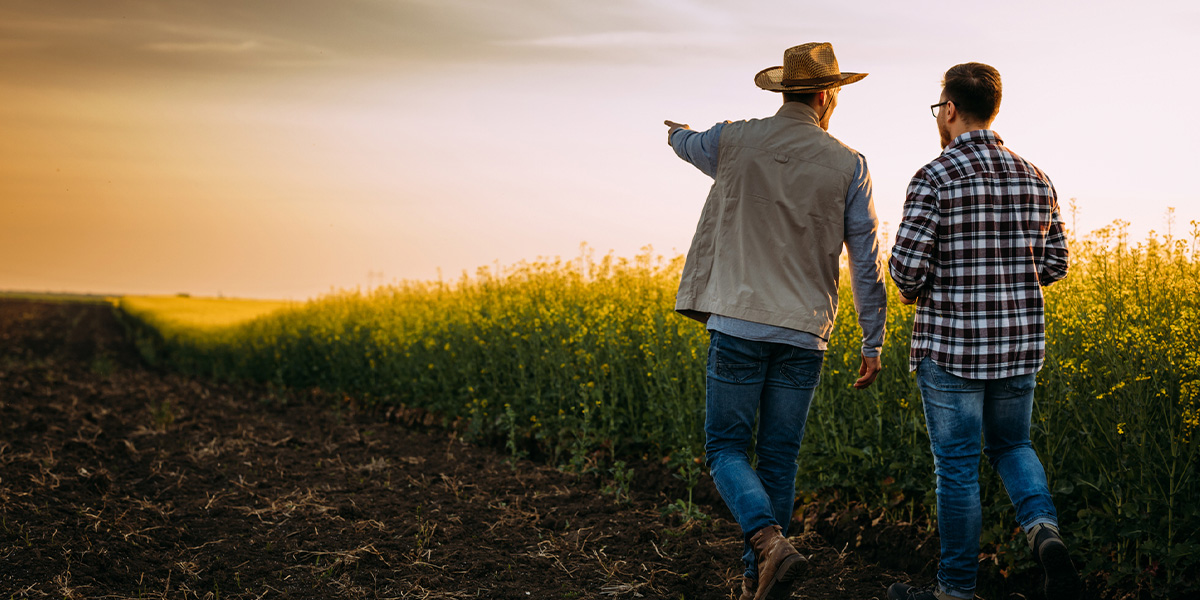 Tax Planning for Farmers: How to Qualify for Exemption